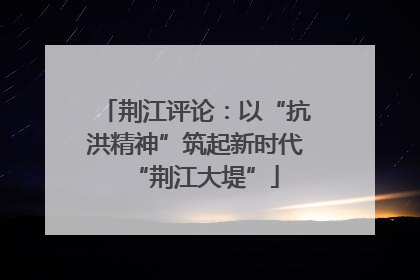 荆江评论：以“抗洪精神”筑起新时代“荆江大堤”