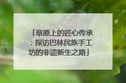草原上的匠心传承：探访巴林民族手工坊的非遗新生之路