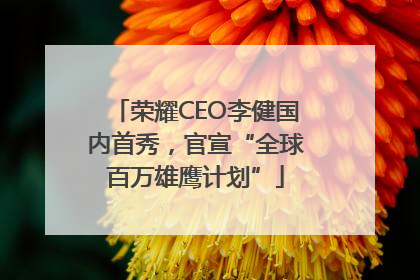 荣耀CEO李健国内首秀，官宣“全球百万雄鹰计划”