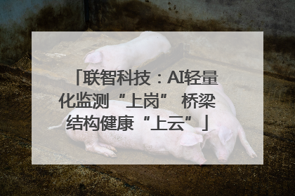 联智科技：AI轻量化监测“上岗” 桥梁结构健康“上云”