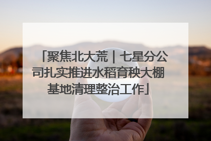 聚焦北大荒｜七星分公司扎实推进水稻育秧大棚基地清理整治工作