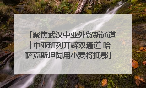聚焦武汉中亚外贸新通道│中亚班列开辟双通道 哈萨克斯坦饲用小麦将抵鄂