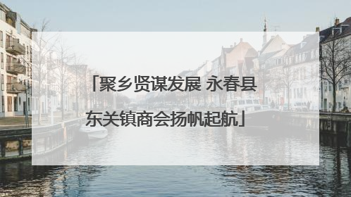 聚乡贤谋发展 永春县东关镇商会扬帆起航