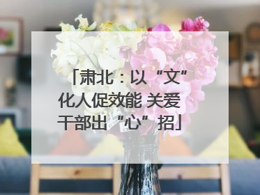 肃北：以“文”化人促效能 关爱干部出“心”招