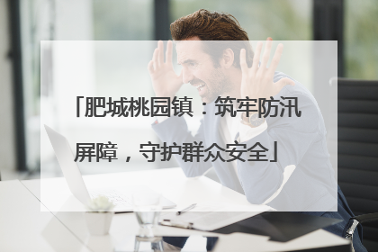 肥城桃园镇：筑牢防汛屏障，守护群众安全
