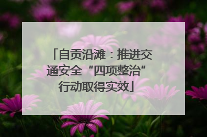 自贡沿滩：推进交通安全“四项整治”行动取得实效