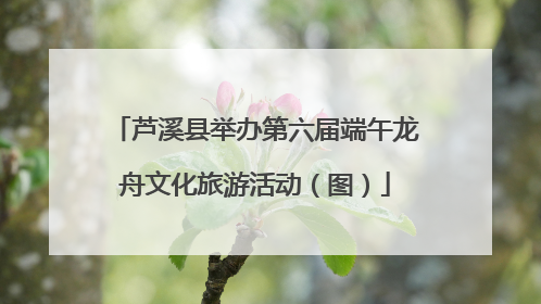 芦溪县举办第六届端午龙舟文化旅游活动（图）