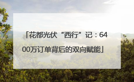 花都光伏“西行”记：6400万订单背后的双向赋能