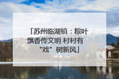 苏州临湖镇：粽叶飘香传文明 村村有“戏”树新风