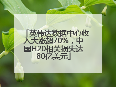 英伟达数据中心收入大涨超70%，中国H20相关损失达80亿美元