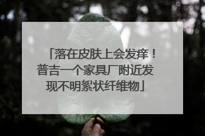 落在皮肤上会发痒！普吉一个家具厂附近发现不明絮状纤维物