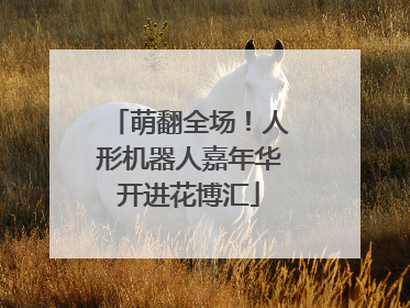 萌翻全场！人形机器人嘉年华开进花博汇