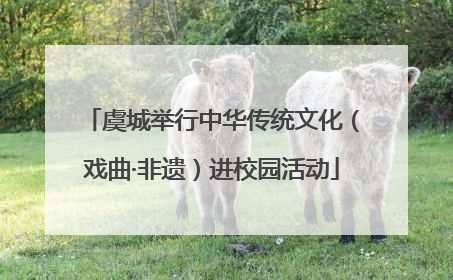 虞城举行中华传统文化（戏曲·非遗）进校园活动