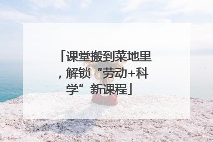 课堂搬到菜地里，解锁“劳动+科学”新课程