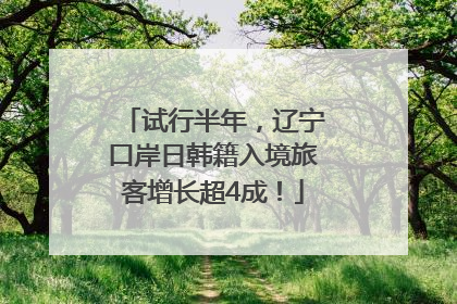 试行半年，辽宁口岸日韩籍入境旅客增长超4成！