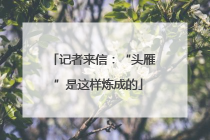记者来信：“头雁”是这样炼成的