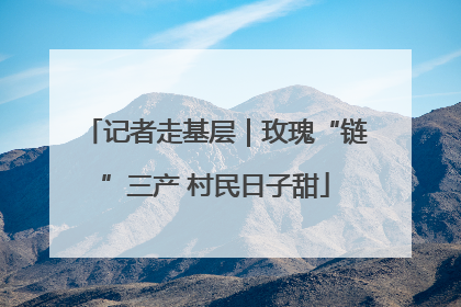 记者走基层｜玫瑰“链”三产 村民日子甜