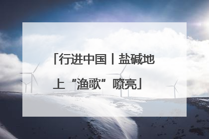 行进中国丨盐碱地上“渔歌”嘹亮