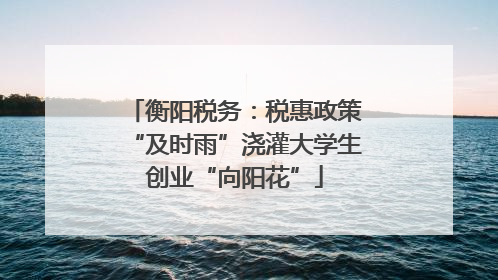衡阳税务：税惠政策“及时雨”浇灌大学生创业“向阳花”