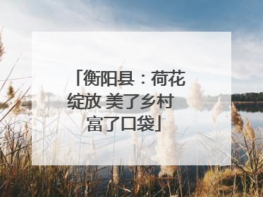 衡阳县：荷花绽放 美了乡村 富了口袋