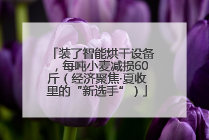 装了智能烘干设备，每吨小麦减损60斤（经济聚焦·夏收里的“新选手”）