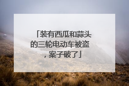 装有西瓜和蒜头的三轮电动车被盗，案子破了