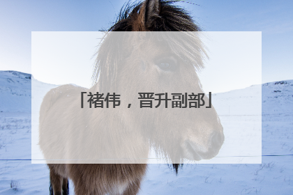 褚伟，晋升副部