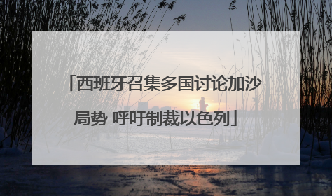 西班牙召集多国讨论加沙局势 呼吁制裁以色列
