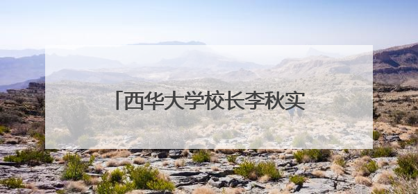 西华大学校长李秋实：乐山“智慧低空”大有可为｜西望四川