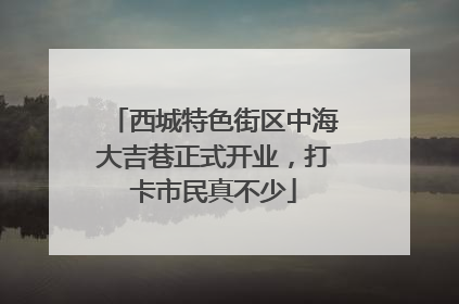 西城特色街区中海大吉巷正式开业，打卡市民真不少
