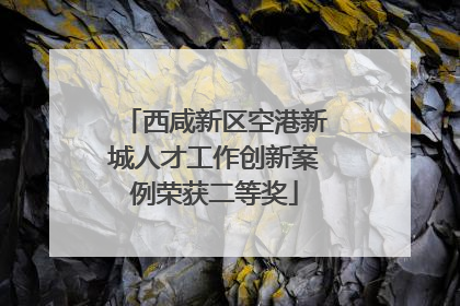西咸新区空港新城人才工作创新案例荣获二等奖
