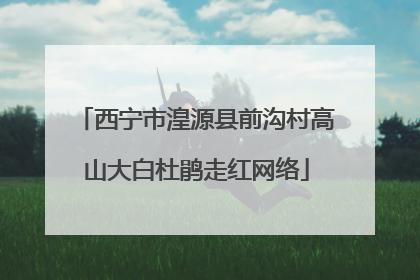 西宁市湟源县前沟村高山大白杜鹃走红网络