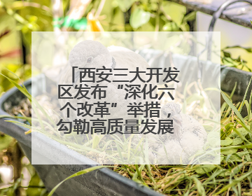 西安三大开发区发布“深化六个改革”举措，勾勒高质量发展新蓝图