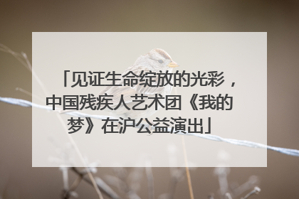 见证生命绽放的光彩，中国残疾人艺术团《我的梦》在沪公益演出