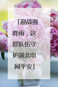 迎战强降雨，这群队伍守护湖北电网平安
