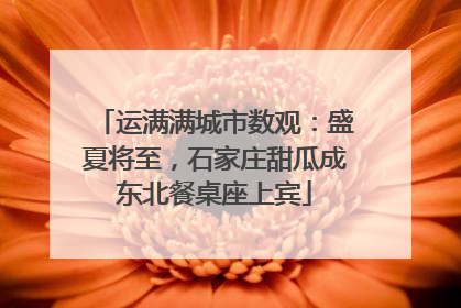 运满满城市数观：盛夏将至，石家庄甜瓜成东北餐桌座上宾