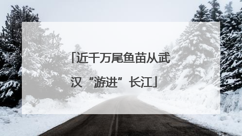 近千万尾鱼苗从武汉“游进”长江