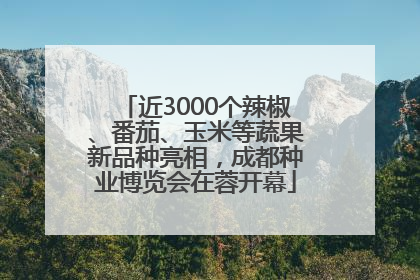 近3000个辣椒、番茄、玉米等蔬果新品种亮相，成都种业博览会在蓉开幕