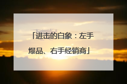 进击的白象：左手爆品、右手经销商