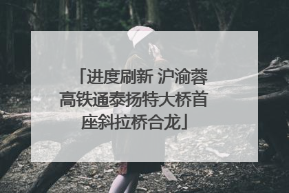 进度刷新 沪渝蓉高铁通泰扬特大桥首座斜拉桥合龙