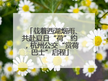 载着西湖烟雨、共赴夏日“荷”约，杭州公交“赏荷巴士”启程