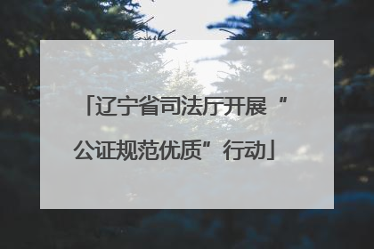 辽宁省司法厅开展“公证规范优质”行动