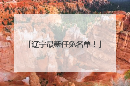 辽宁最新任免名单！