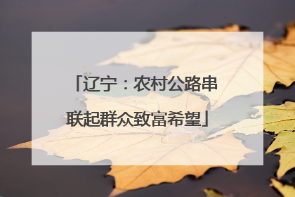 辽宁：农村公路串联起群众致富希望
