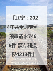 辽宁：2024年共受理专利预审请求7468件 获专利授权4213件
