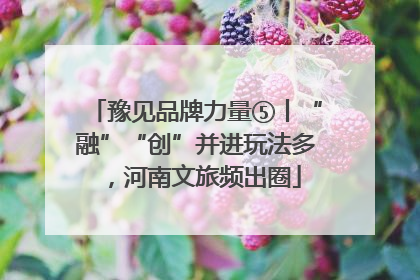 豫见品牌力量⑤丨“融”“创”并进玩法多，河南文旅频出圈