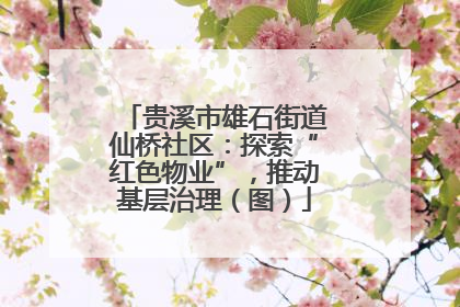 贵溪市雄石街道仙桥社区：探索“红色物业”，推动基层治理（图）