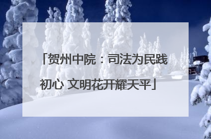 贺州中院：司法为民践初心 文明花开耀天平