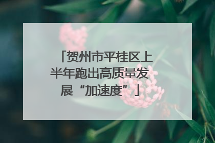 贺州市平桂区上半年跑出高质量发展“加速度”