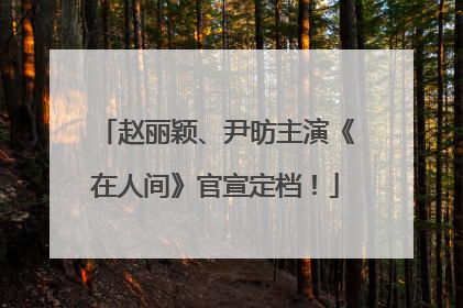 赵丽颖、尹昉主演《在人间》官宣定档！